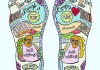 Delhi Planet Weekends – Know Your Body