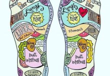 Delhi Planet Weekends – Know Your Body