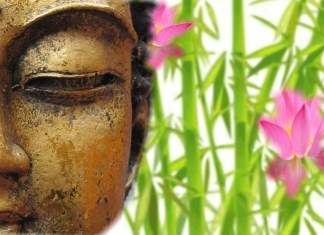 5 Wellness & Spiritual Events you Must Attend in Delhi-NCR for a Rejuvenated Soul