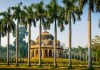 Plan The Perfect Day Out at These Top 6 Picnic Spots in Delhi-NCR
