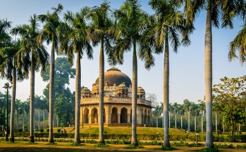 Plan The Perfect Day Out at These Top 6 Picnic Spots in Delhi-NCR