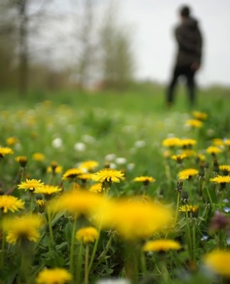 Celebrate The Oncoming of Spring With Full Swing This Vasant Panchami!