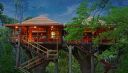7 Most Picturesque Tree Houses Across The Country You Need to Check Out For Perfect Vacay Goals!