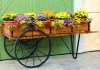 For All Nature Lovers- Check Out These Homegrown Brands to Get Beautiful Garden Accessories