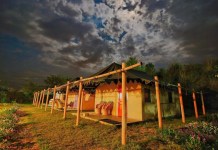8 Majestic Farm Stays in The Country Which Should Totally be on Your Next Vacation List