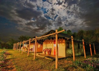 8 Majestic Farm Stays in The Country Which Should Totally be on Your Next Vacation List