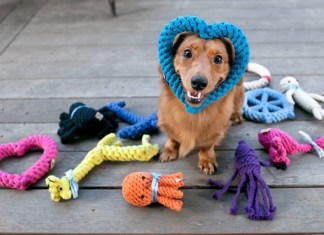 7 Amaze Shops in Delhi-NCR to Grab The Best Goodies & Accessories For Your Furry Babies!