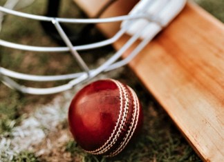 Here Are 7 Cricket Academies in Delhi-NCR You Should Check Out if Your Little One Aspires to Become Future Kohli or Dhoni!