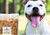 Pet Owners, Feed Your Pooch Delicious & Nutritious Home-Cooked Meals From This Pet Meal Supplier in Delhi