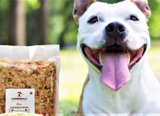 Pet Owners, Feed Your Pooch Delicious & Nutritious Home-Cooked Meals From This Pet Meal Supplier in Delhi