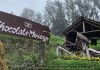 Did You Know Ooty Houses The Nation’s First-Ever Chocolate Museum Where You Can Learn How Beans Are Made Into Chocolate Bars?