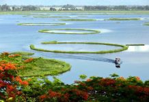 Did You Know The World’s One & Only ‘Floating’ National Park is in Manipur?