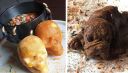 This Microbrewery in Gurgaon Does Quirky Dishes Like Devilled Pav Bhaji, Chocochips Pranked Puppy & More