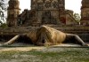 Holding 200-Years Old History, The Frog Temple in UP Has Got to be One of The Most Unique Temples in The Country!